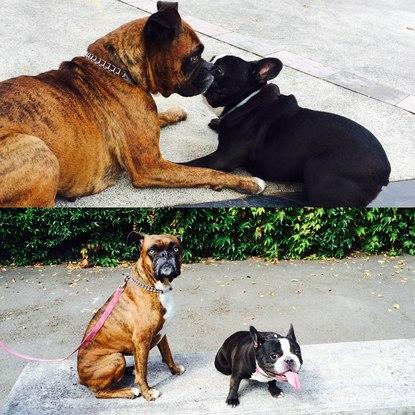 Lola con Kira, una de las peques a la que educamos juntas