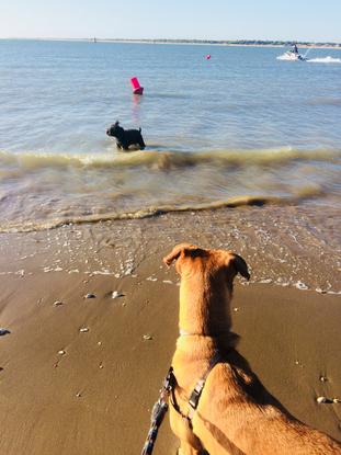 Sua en playa