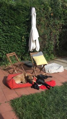 De relax en el jardín de casa