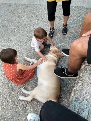 Adi nuestro perro terapia por naturaleza