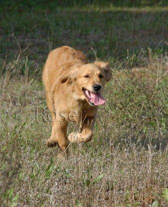 Nuk disfrutando del aire libre