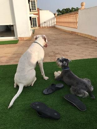 Tana y Lucas disfrutando la terraza 