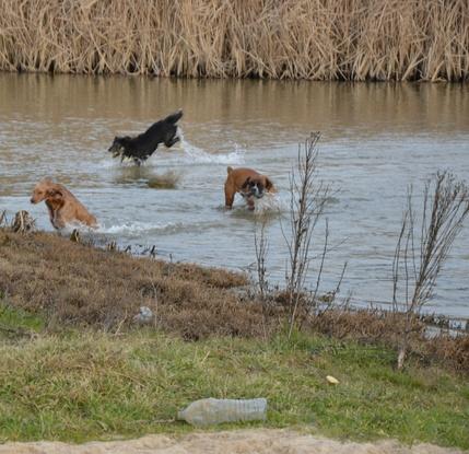 Pasando el día en el río