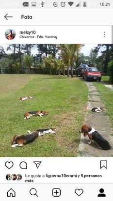 Tomando el sol