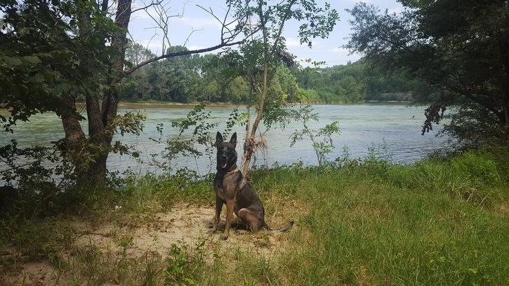 Un paseo al rio...