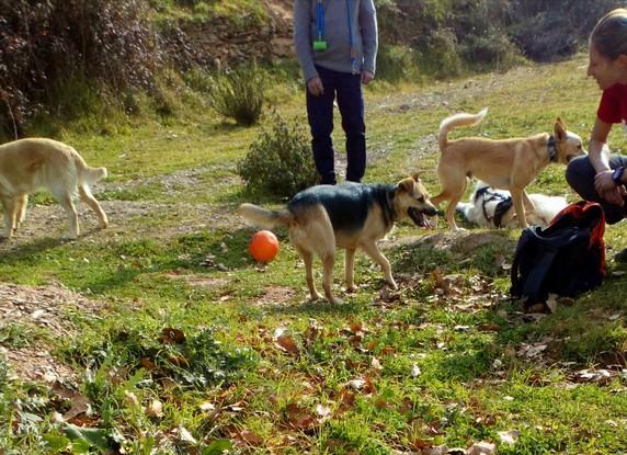 De excursión con Nami y sus amigos