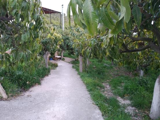 La entrada de nuestra casa