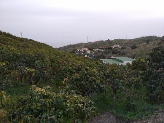 Nuestro entorno. La casa es la del tejado verde