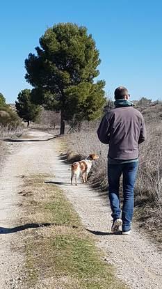 De paseo en el campo con Chulo