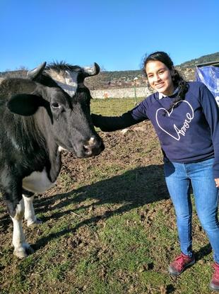 Visitando un Santuario!