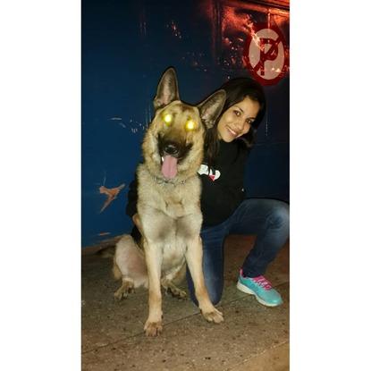Zultan y yo 