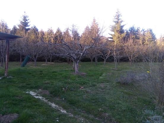 Amplia zona de esparcimiento en la parte de atras de la casa 