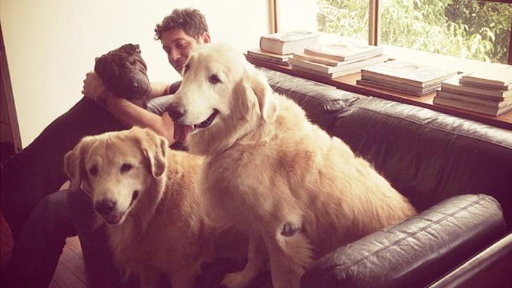 Con Sebastián (shar-pei chino), Boss y Fess (golden Retrievers) cuando vivíamos en Venezuela. Los extraño mucho chicos