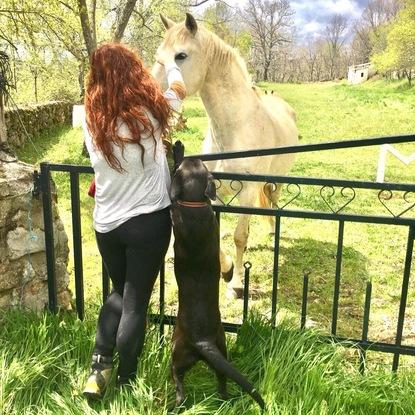 Me gustan los caballos!