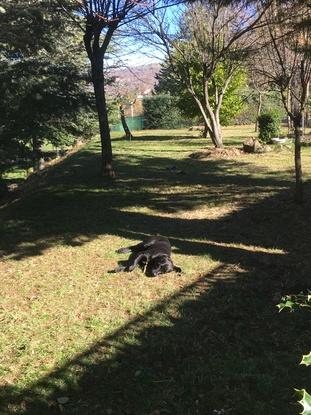 Hora de la siesta en casita