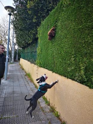 Saludando a un amigo! 