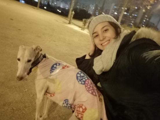 Paseo con Tammy 