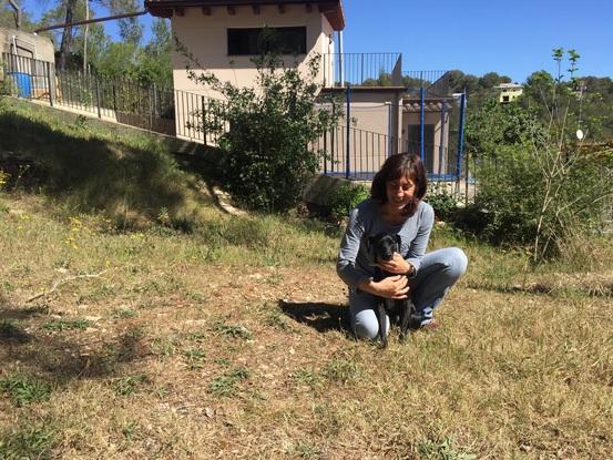 En la parcela más campestre con la casita al fondo