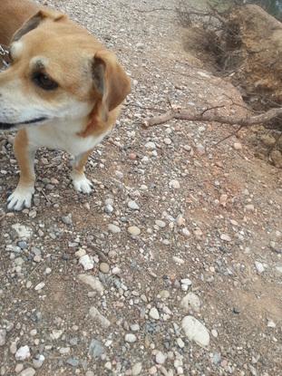 Mario paseando por el bosque