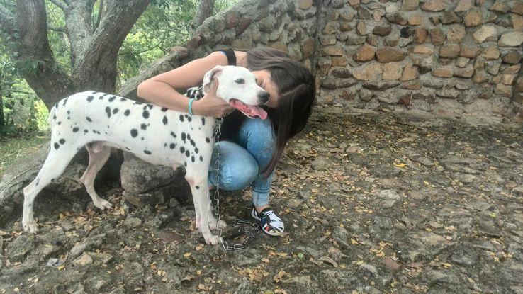 Uno de nuestros últimos paseos juntos! Doggi y yo!