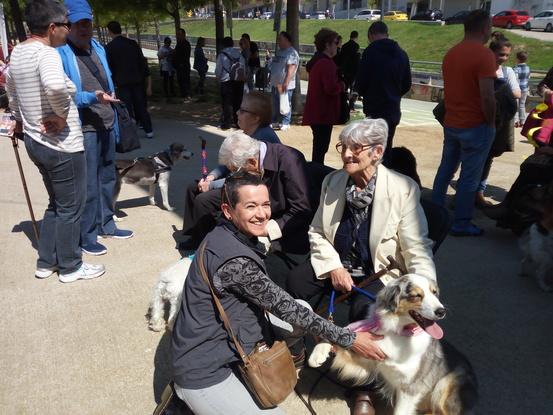 Terapia Canina con abuelos 