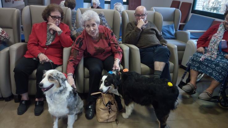 Terapia Canina con Abuelos