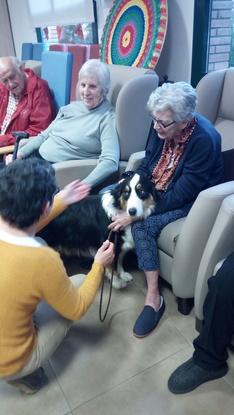 Tarapia Canina con Abuelos