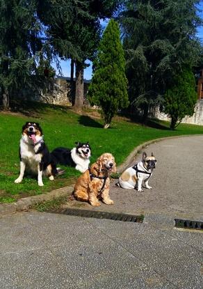 De paseo con Lua y Dina