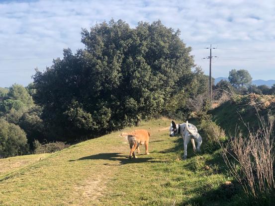 Tendrá paseos por la montaña.