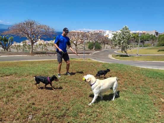 Mañanita de paseo