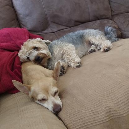 Kiko&Canela