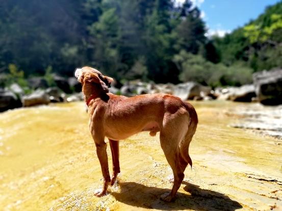 Los lunes al sol