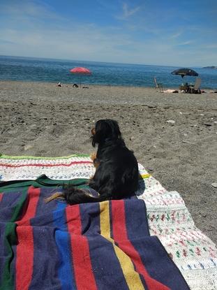 En la playa