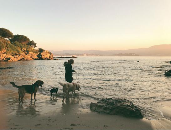 Paseos por la playa 