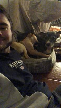 Bicka y Dagda, un cachorro que tuve de acogida.