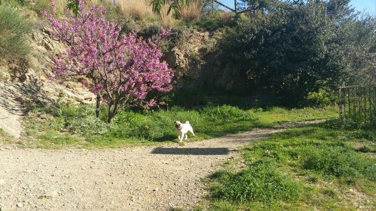 En el Parque de la Creueta