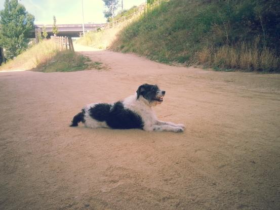 Muquita disfrutando de la buena vida