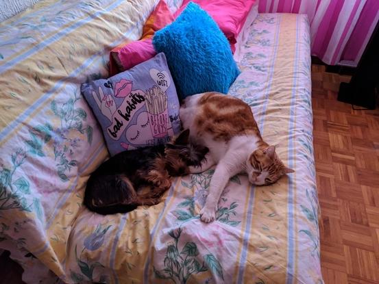 Durmiendo juntos.