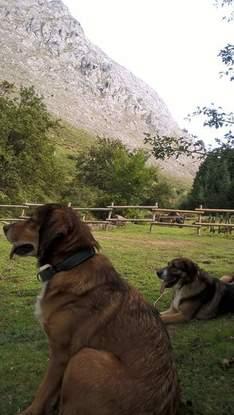 Otra salida al monte con su mejor amigo