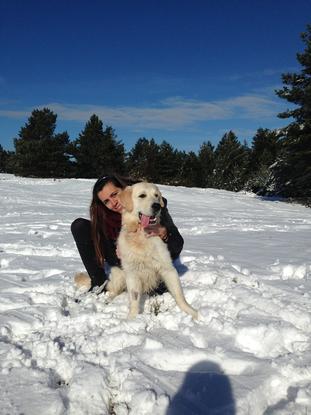 En la nieve