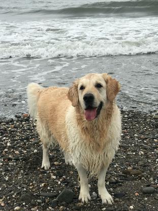 En la playa