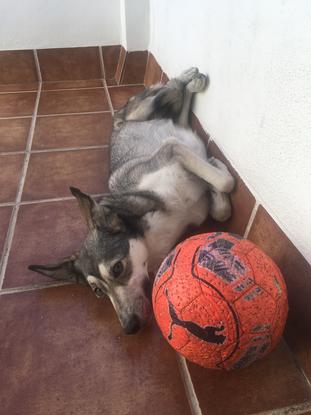 En la terraza de casa después de jugar a la pelota