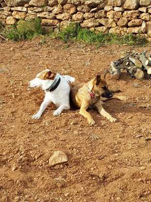 BIMBA Y MIA