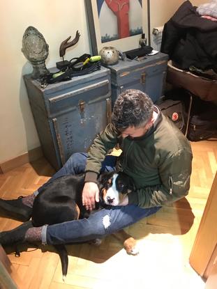 Helio de cachorro