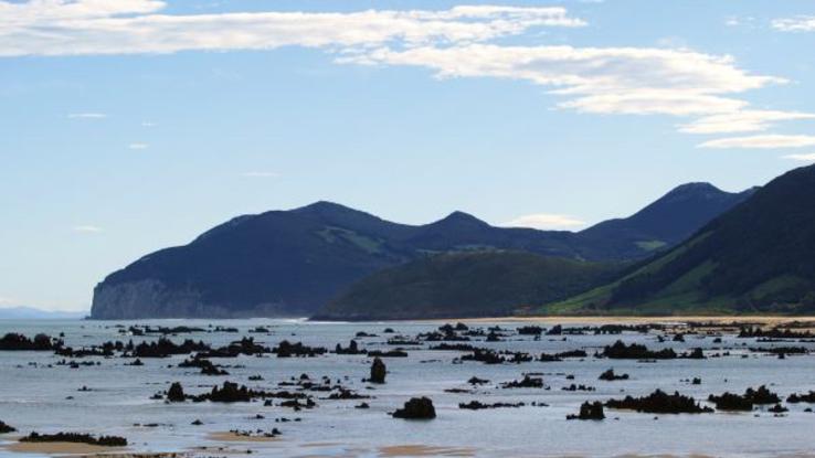 Alrededores: Playa apta para perros