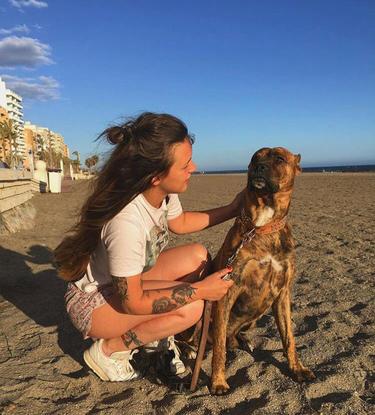 Toro disfrutando de un día de playa 