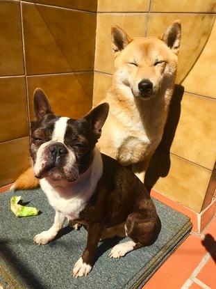 Edna y Thor. Se hicieron buenos amigos 