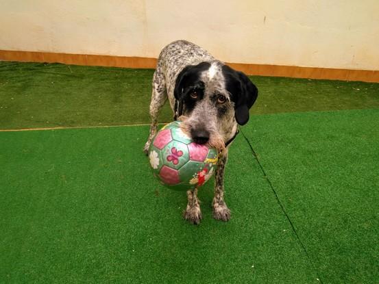 Jugando con una "pelotita".