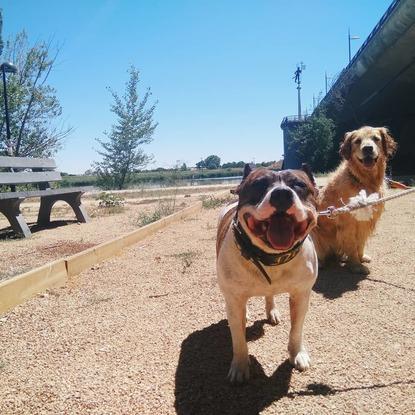 De paseo por el río