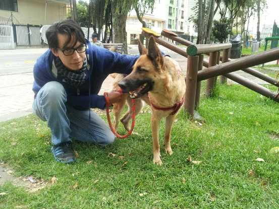 Con Shakty, la paseaba y la cuidamos mientras estuvo enferma, ya esta mucho mejor.